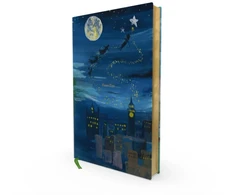 KNYGA BARRIE J M Peter Pan (Painted Editions)