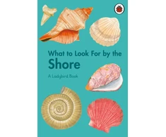 KNYGA Becky Brown What to Look For by the Shore