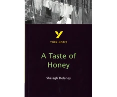 KNYGA Bernadette Dyer Taste of Honey York Notes GCSE English Literature Study Guide - for 2026, 2027 exams