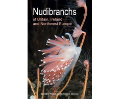 KNYGA Bernard Picton Nudibranchs of Britain, Ireland and Northwest Europe