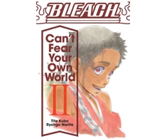KNYGA Bleach: Can't Fear Your Own World, Vol. 2
