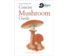 KNYGA Bloomsbury Concise Mushroom Guide