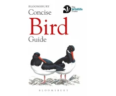 KNYGA Bloomsbury Usa Concise Bird Guide