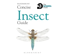 KNYGA Bloomsbury Usa Concise Insect Guide
