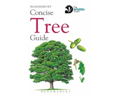 KNYGA Bloomsbury Usa Concise Tree Guide