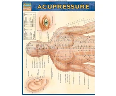 KNYGA Vincent Perez Acupressure