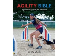 KNYGA Bookshop Agility Bible