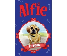 KNYGA Bookshop Alfie
