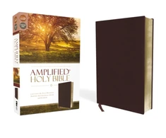 KNYGA Bookshop Amplified Holy Bible, Bonded Leather, Burgundy