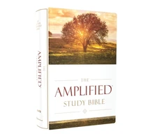 KNYGA Bookshop Amplified Study Bible, Hardcover