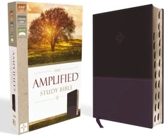 KNYGA Bookshop Amplified Study Bible, Leathersoft, Violetinė, Thumb Indexed