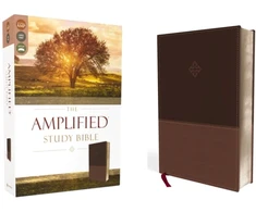 KNYGA Bookshop Zondervan Amplified Study Bible, Leathersoft, Brown