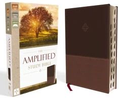 KNYGA Bookshop Amplified Study Bible, Leathersoft, Brown, Thumb Indexed