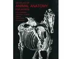 KNYGA Bookshop An Atlas of Animal Anatomy for Artists