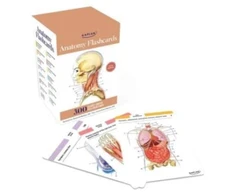 KNYGA Bookshop Anatomy Flashcards: 300 Flashcards with Anatomically Precise Drawings and Exhaustive Descriptions