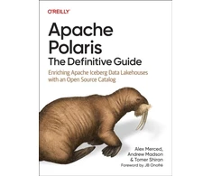 KNYGA Bookshop Apache Polaris - The Definitive Guide