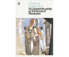 KNYGA Bookshop Apprenticeship or The Book of Pleasures
