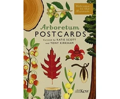 KNYGA Bookshop Arboretum Postcards