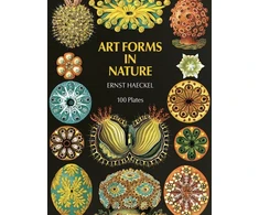 KNYGA Bookshop Art Forms in Nature
