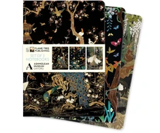 KNYGA Bookshop Ashmolean Museum Set of 3 Standard Notebooks