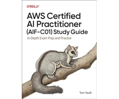 KNYGA Bookshop AWS Certified AI Practitioner Study Guide