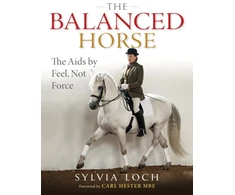 KNYGA Bookshop Balanced Horse