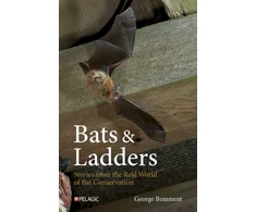 KNYGA Bookshop Bats &amp; Ladders