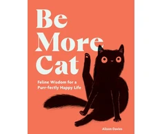 KNYGA Bookshop Be More Cat