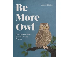 KNYGA Bookshop Be More Owl