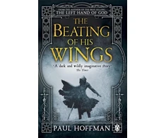 KNYGA Bookshop Beating of his Wings