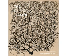 KNYGA Bookshop Swanson Beautiful Brain: The Drawings of Santiago Ramon y Cajal