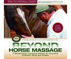 KNYGA Bookshop Beyond Horse Massage Wall Chart