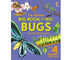 KNYGA Bookshop Big Book of Big Bugs
