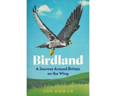 KNYGA Bookshop Birdland