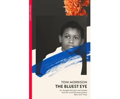KNYGA Bookshop Bluest Eye