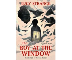 KNYGA Bookshop Strange Lucy Boy at the Window