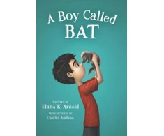 KNYGA Bookshop Boy Called Bat