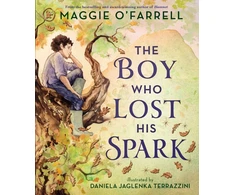 KNYGA Bookshop Boy Who Lost His Spark