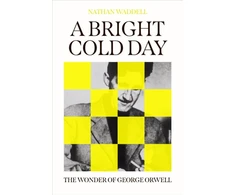 KNYGA Bookshop Waddell Nathan Bright Cold Day: The Wonder of George Orwell