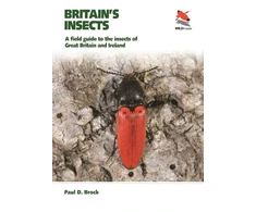 KNYGA Bookshop Britain's Insects