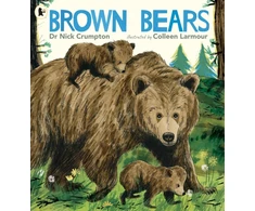 KNYGA Bookshop Brown Bears