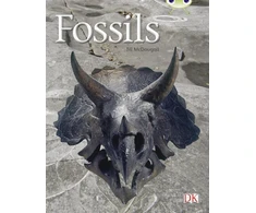 KNYGA Bookshop Bug Club Guided Non Fiction Year Two Gold A Fossils