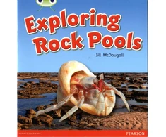 KNYGA Bookshop Bug Club Guided Non Fiction Year 1 Žalias C Exploring Rock Pools