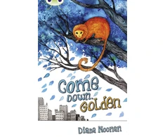 KNYGA Bookshop Bug Club Independent Fiction Year 3 Brown A Come Down, Golden
