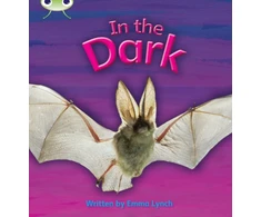 KNYGA Bookshop Bug Club Phonics - Phase 3 Unit 10: In the Dark