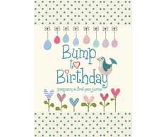 KNYGA Bookshop Bump to Birthday, Pregnancy &amp; First Year Journal