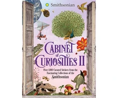 KNYGA Bookshop Cabinet of Curiosities II