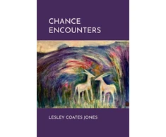 KNYGA Lesley Coates Jones Chance Encounters