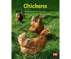KNYGA Beverley Randell CHICKENS