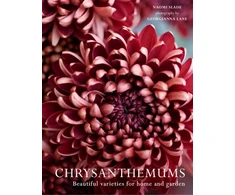 KNYGA Bookshop Chrysanthemums